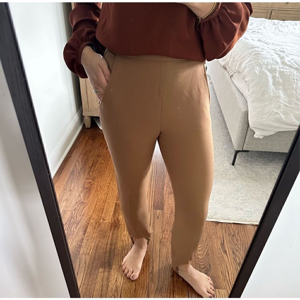 Aritzia Babaton Stir Up Dress Skinny Pants